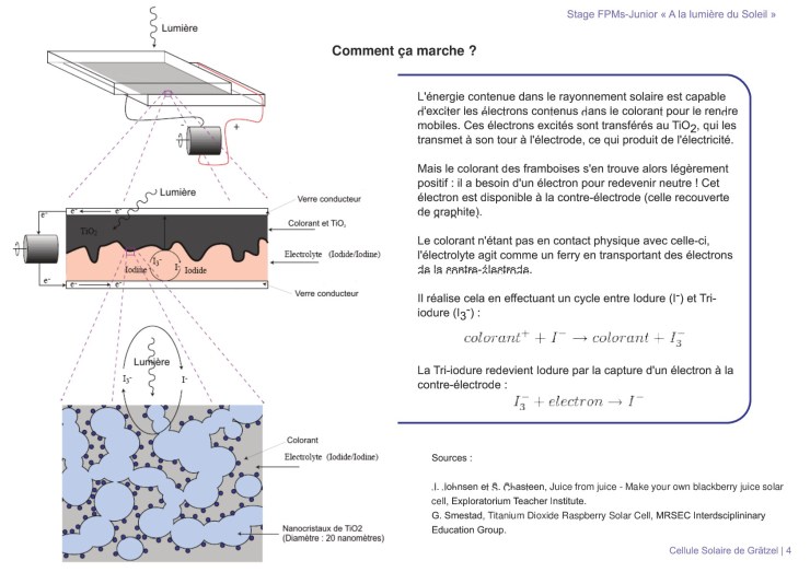 CelluleGratzel-004-004